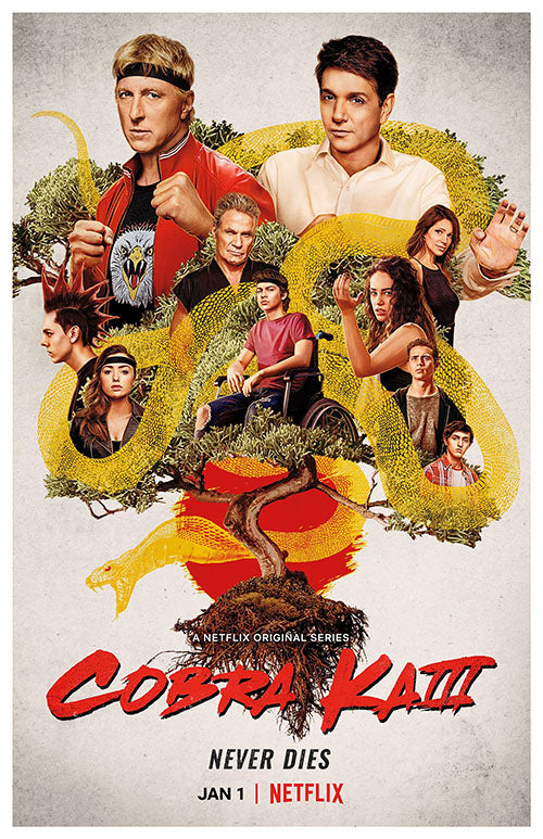 The Cobra Kai Movie (2024) movie poster 11x17